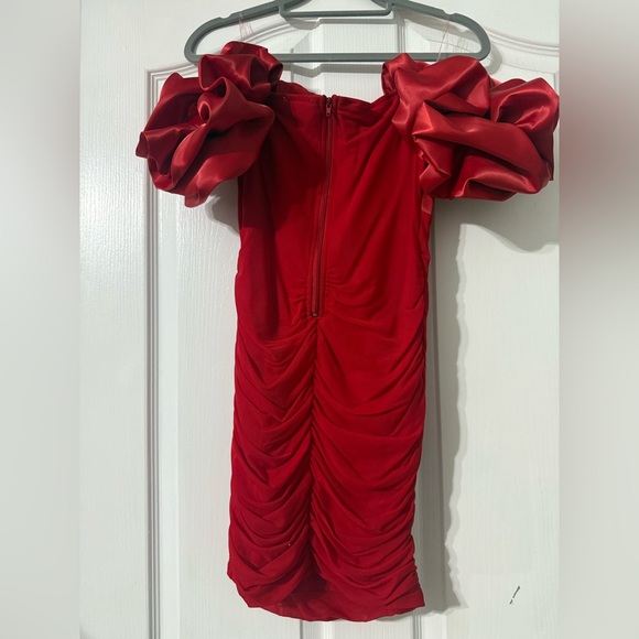 Red Ruffle Mini Dress - Picture 3 of 3